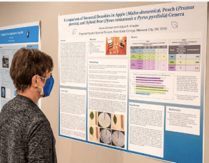 How To Make a Scientific Poster – Print In London Blog